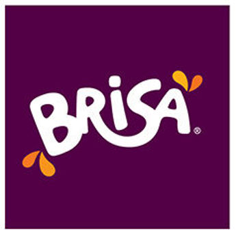 Picture for manufacturer BRISA