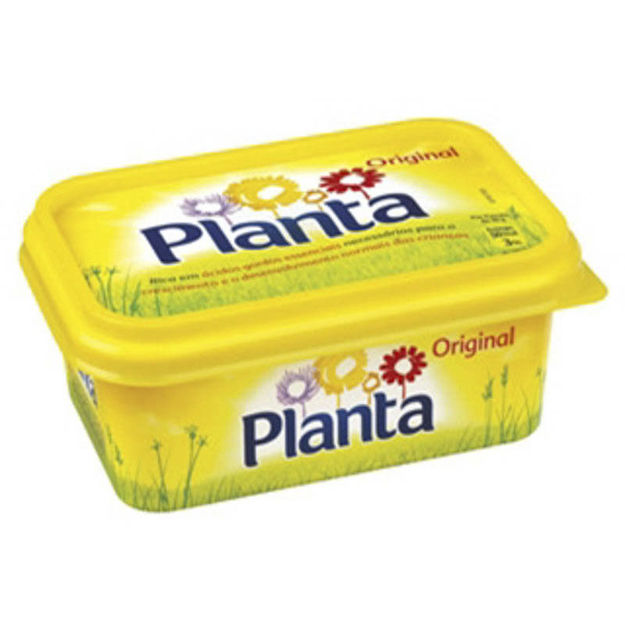 Picture of Planta Original