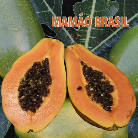 Picture of Fruit Papaya From Brazil Cat I