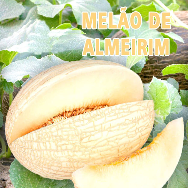 Picture of Fruit Almerim Melon From Pt