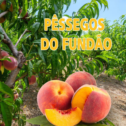 Picture of Fruit Red Peach From Portugal  (Box+/- 5kg)