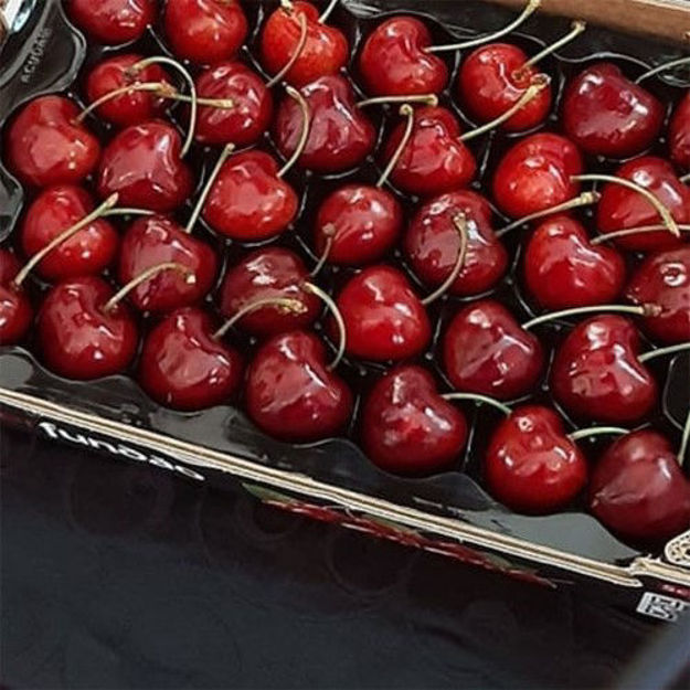 Picture of Fruit  Cherry From Fundao Origin Certificated