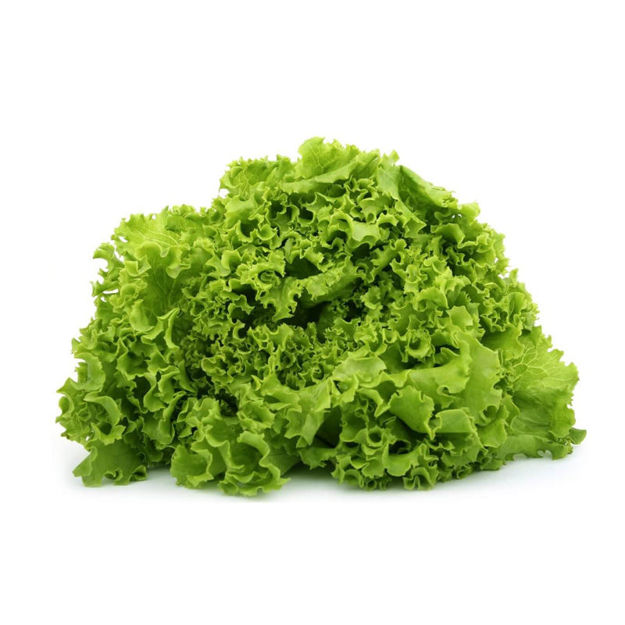 Picture of Vegetable Beaded Lettuce (+/- 6kg Box) Pt