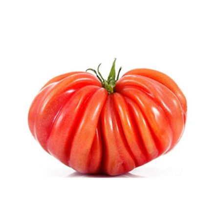 Picture of Vegetable Beef Tomato Pt