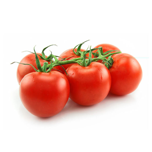 Picture of Vegetable Vine Tomato Cat Ii Pt