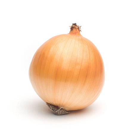 Picture of Vegetable Onion Medium Pt Bag