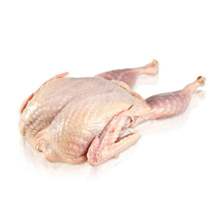 Picture of Quail Gourmet Open Seasoned Frozen