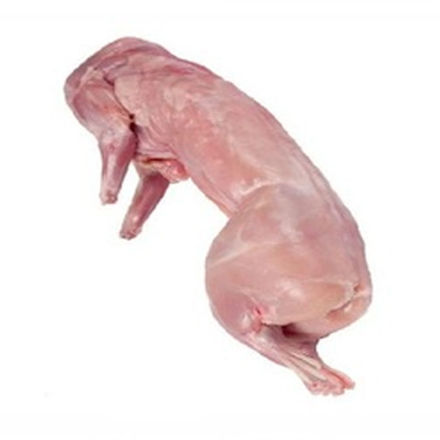 Picture of Rabbit Young Whole Frozen