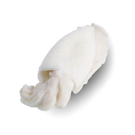 Picture of Cuttle Fish Whole Clean  (1/2 Kg) Gelpeixe Fs