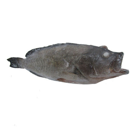 Picture of Grouper Chunk Iwp Gelpeixe