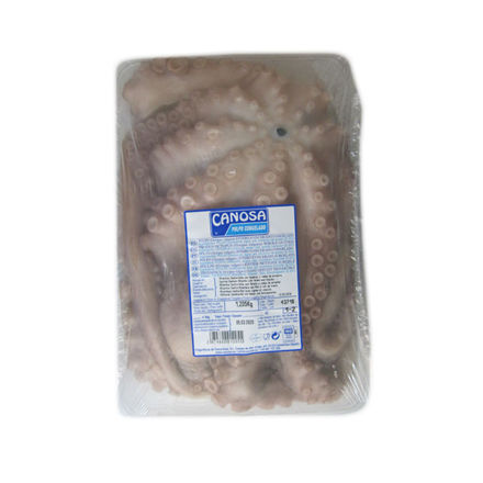 Imagem de Octopus Canosa Size 1-2 Frozen