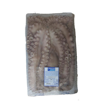 Picture of Octupus Canosa Size 3-4 (0 C/C) Frozen