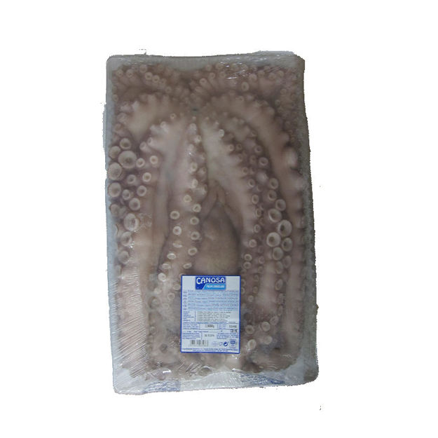 Imagem de Octopus Canosa Size 3-4 (0 C/C) Frozen