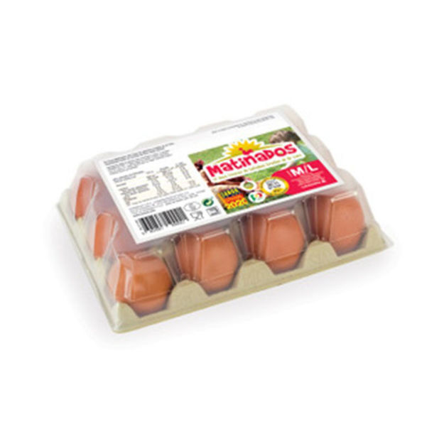 Picture of Fresh Free Range Eggs (Size M/L) Matinados 12Und