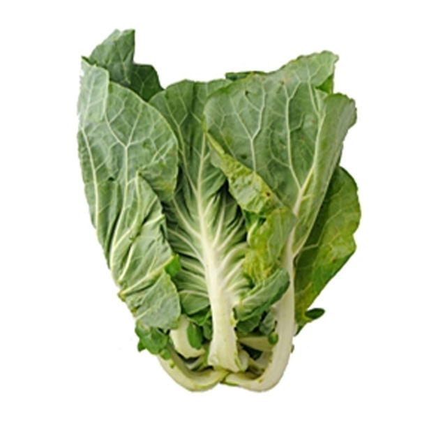 Picture of Vegetable "Penca" Cabbage M. Ribeiro Producer Pt