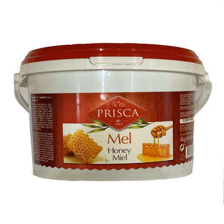 Picture of Honey Prisca Traditional Plastic Bucket Fs