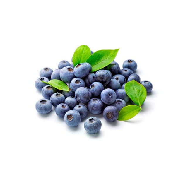 Picture of Fruit  Blueberry From Portugal