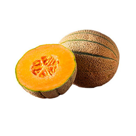 Picture of Fruit Melon Cantalupe Cat Ii Pt