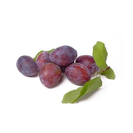 Picture of Fruit Plum President Cat Ii Pt