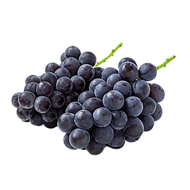 Picture of Fruit Black Grape Palieri Vale Da Rosa Pt