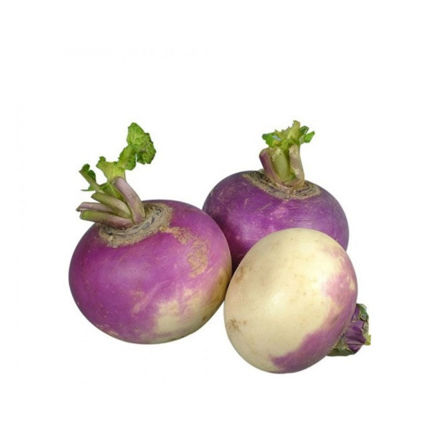 Picture of Vegetable Turnip (3 Units)