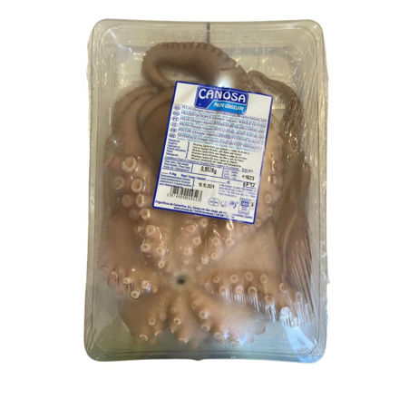 Picture of Canosa Frozen Octopus Calib. 0.8 - 1.2