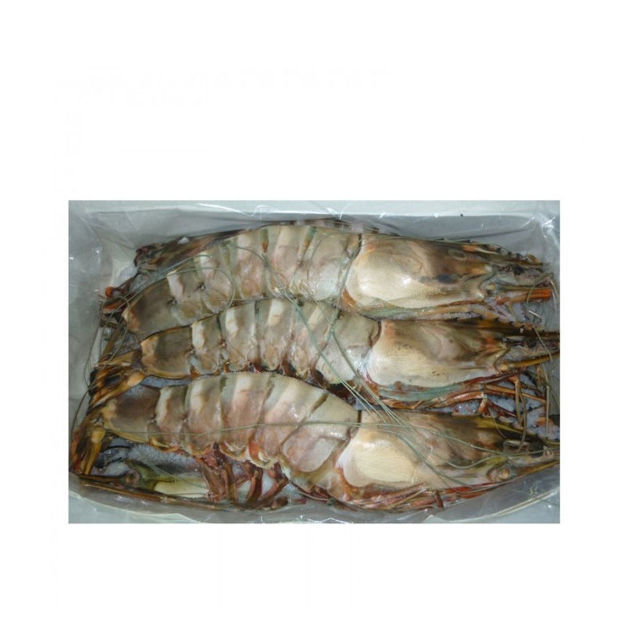 Picture of Wild Tiger Shrimp  Nigeria (2-4)