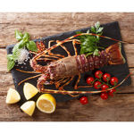 Picture of Raw Wild Lobster Caliber 200-400  Mauritania