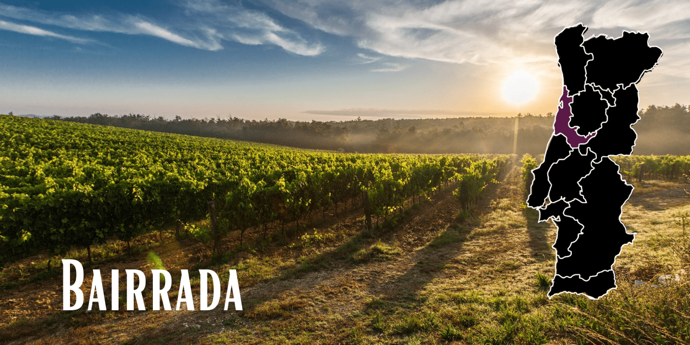 BAIRRADA PORTUGUESE WINE REGION