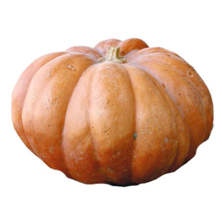 Picture of Vegetable Menina Pumpkin Cat Ii 2 Units (10kg Box) Pt