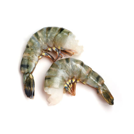 Picture of Black Tiger Shrimp Without Head (21-25) Frip